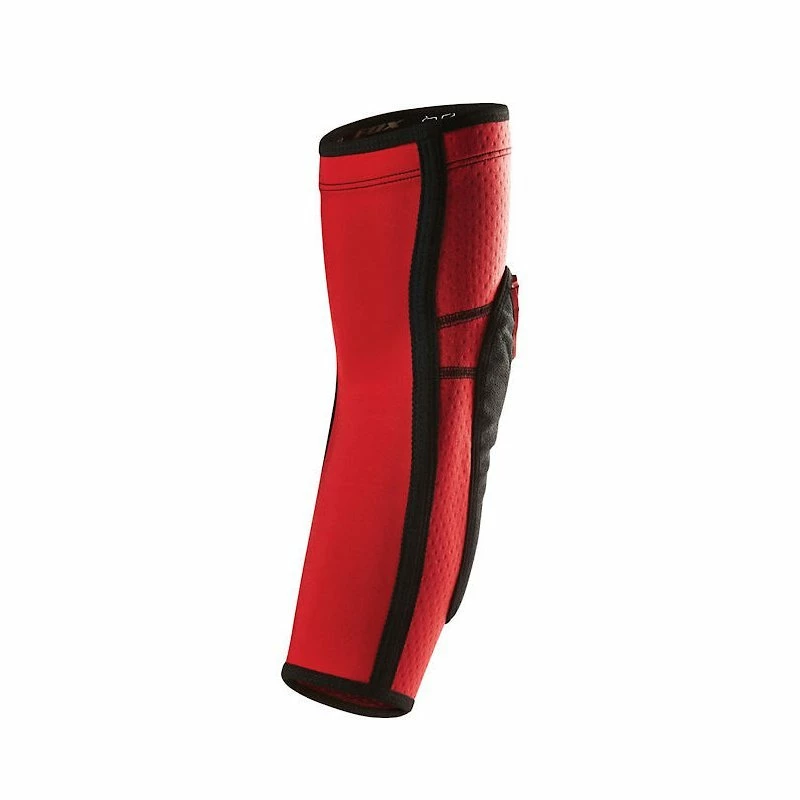 Fox Accueil – Image 3