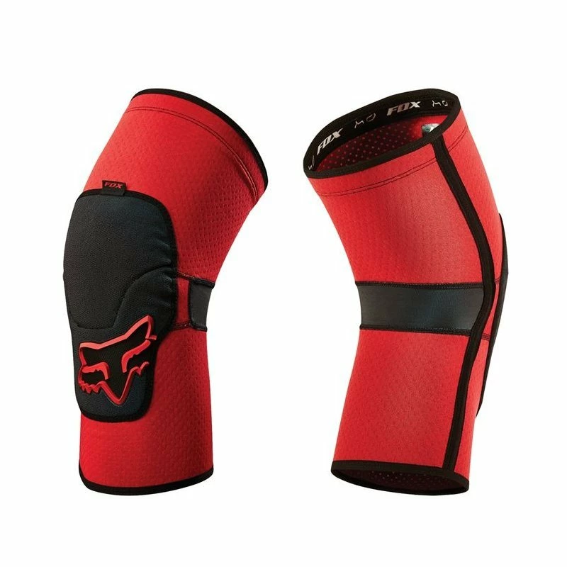 Fox Accueil – Image 4