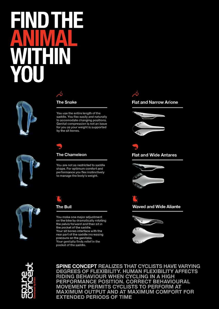 Selle Vélo Route Et VTT Fizik Aliante R3 Braided Blanc Gris Rouge – Image 3